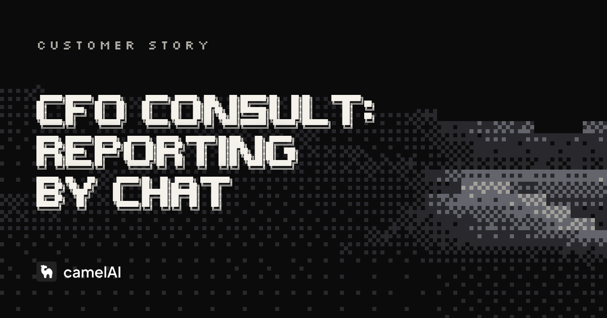 Case Study: How CFO Consult Uses CamelAI to Streamline Data Analytics