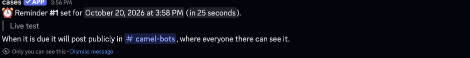 Discord: nudge's private confirmation for reminder #1 at 3:58 PM, saying it will post publicly in #camel-bots