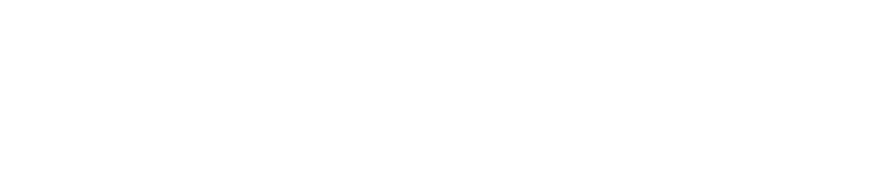camelAI Documentation