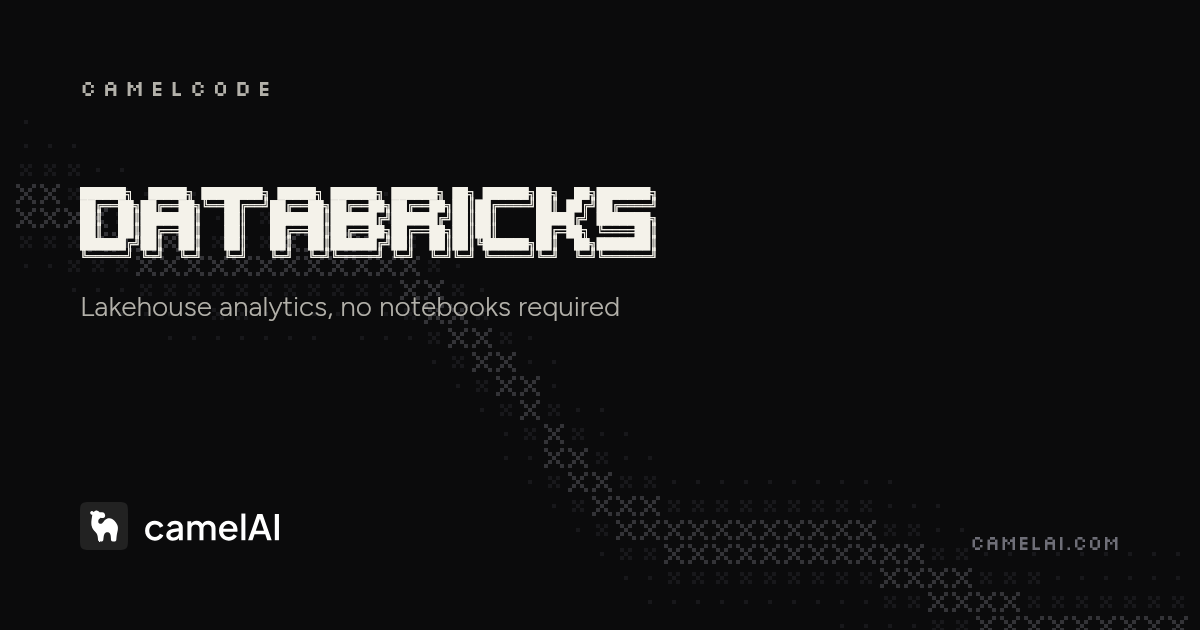 Databricks Dashboard Builder — AI Reporting | camelAI